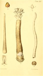 n602_w1150