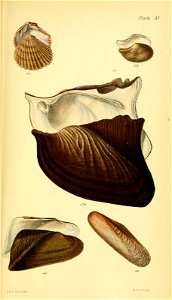 n572_w1150