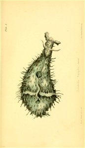 n542_w1150