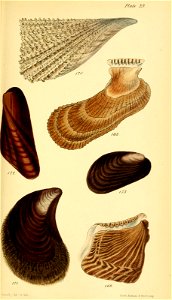 n568_w1150