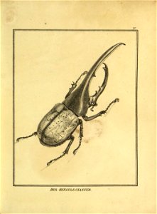 n160_w1150