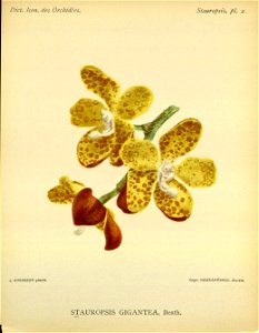 n235_w1150