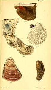 n566_w1150