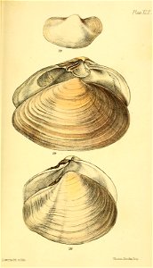 n594_w1150