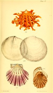 n564_w1150