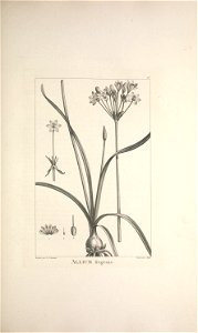 n118_w1150