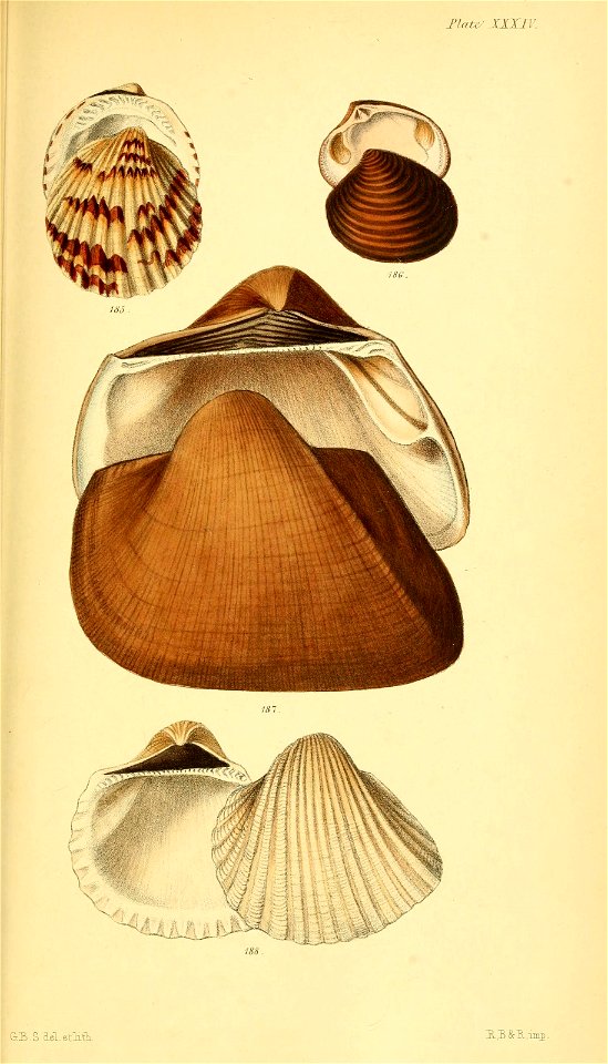 n578_w1150