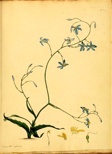 n578_w1150