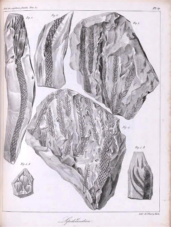 n466_w1150
