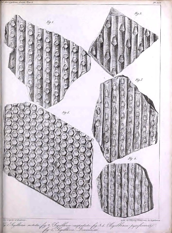 n406_w1150
