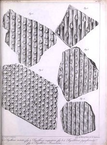 n406_w1150