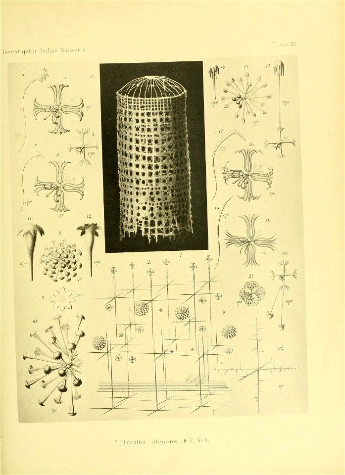 n172_w1150