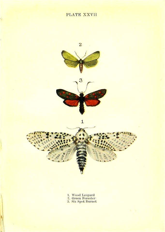 n122_w1150
