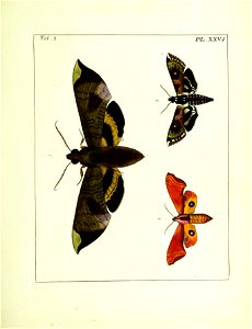 n158_w1150