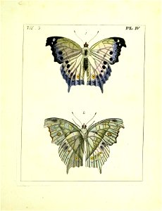 n214_w1150