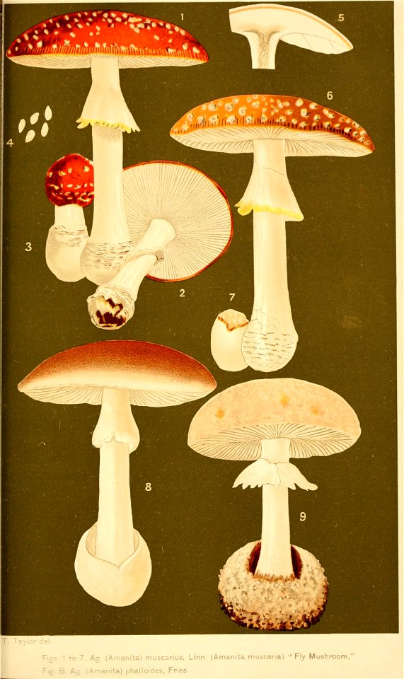 n176_w1150