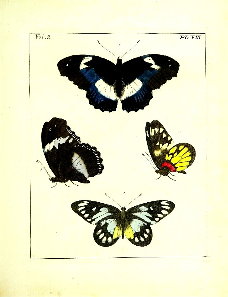 n122_w1150