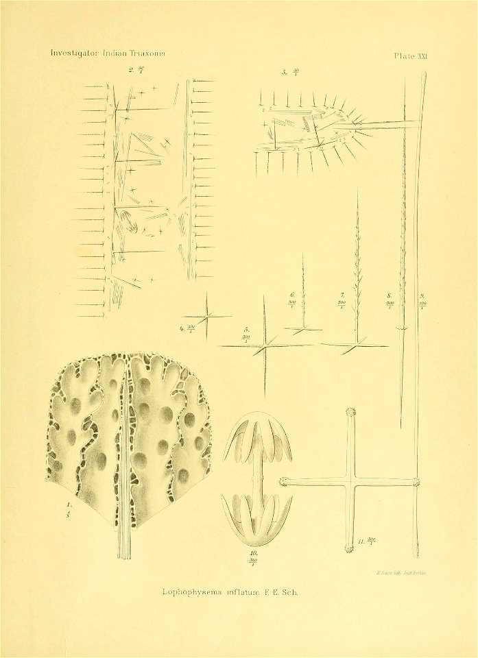n208_w1150