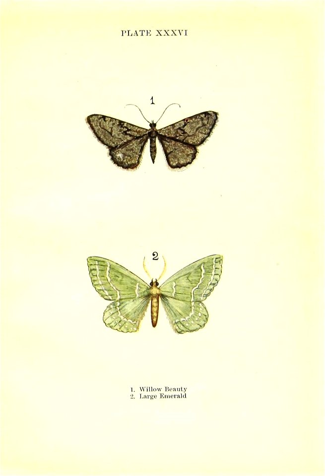 n158_w1150