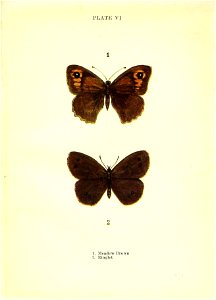 n40_w1150