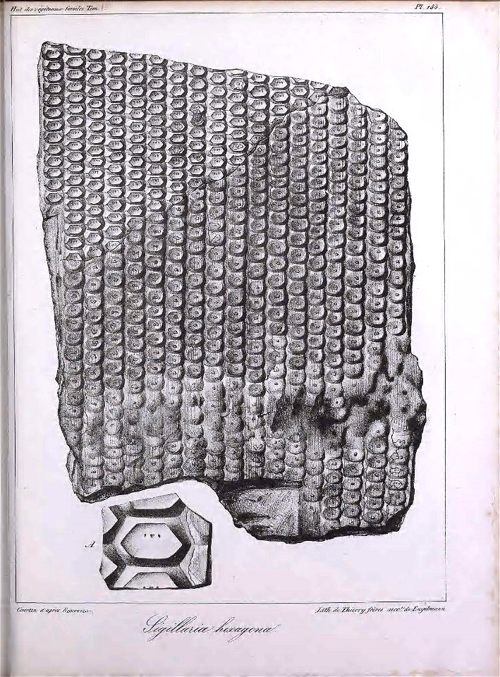 n410_w1150