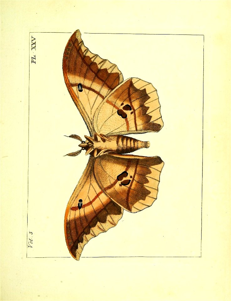 n256_w1150