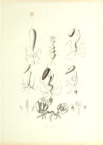n362_w1150