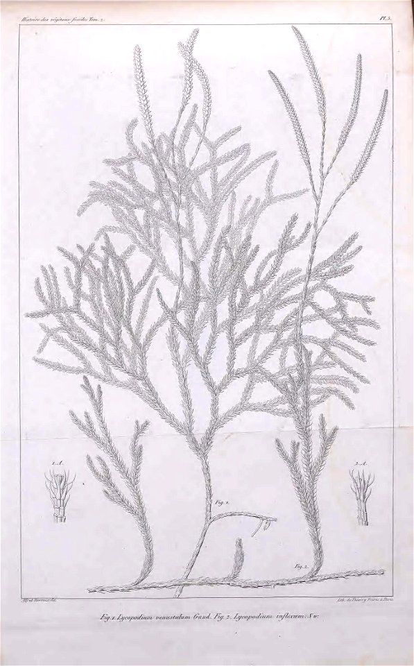n438_w1150
