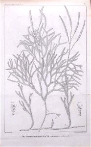 n438_w1150