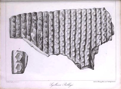 n408_w1150
