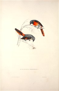 n51_w1150
