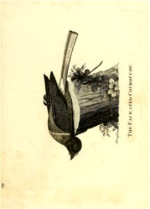 n58_w1150
