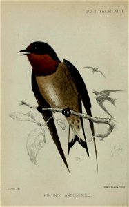 n671_w1150