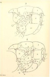 n196_w1150