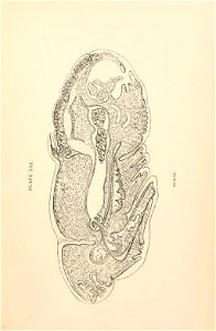 n398_w1150