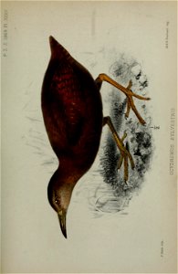 n564_w1150