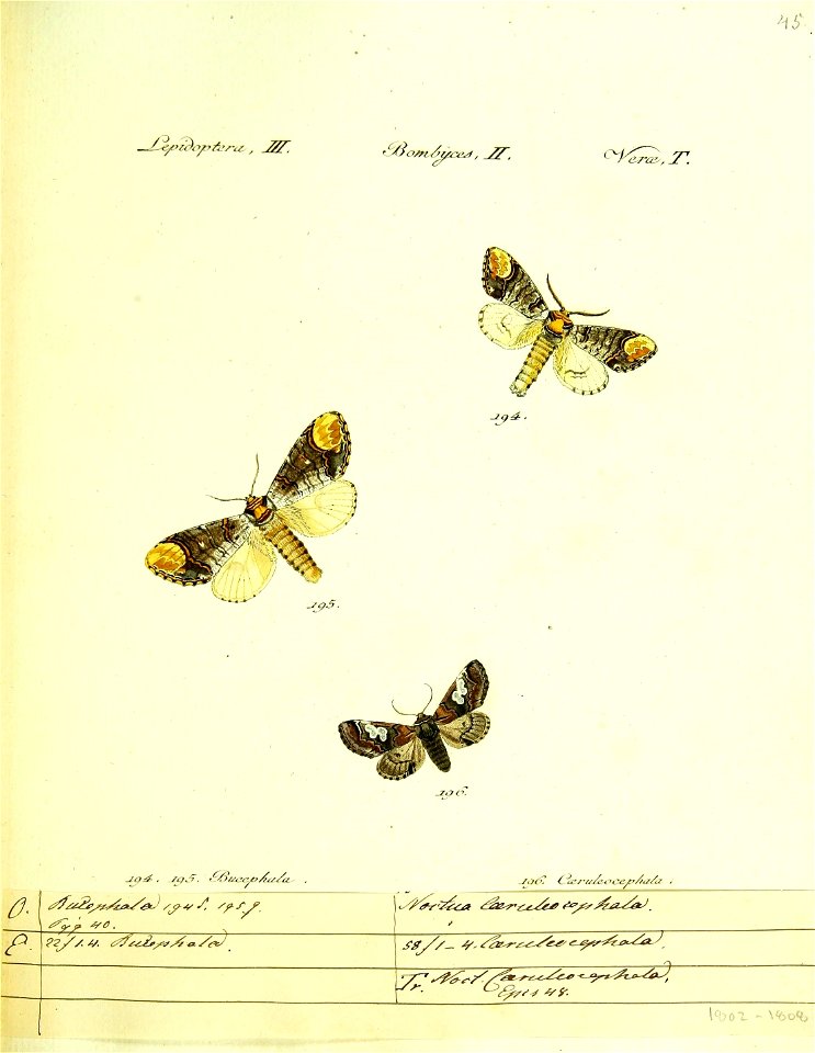 n172_w1150