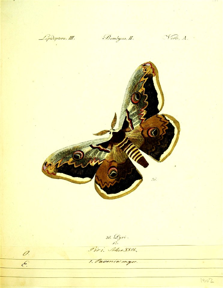 n112_w1150