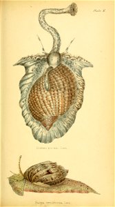 n176_w1150