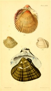 n264_w1150