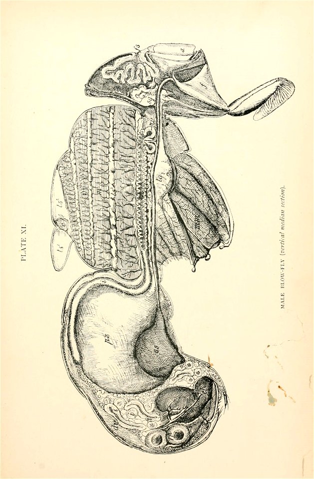 n252_w1150