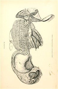 n252_w1150