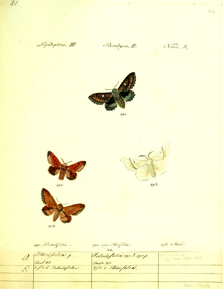 n170_w1150