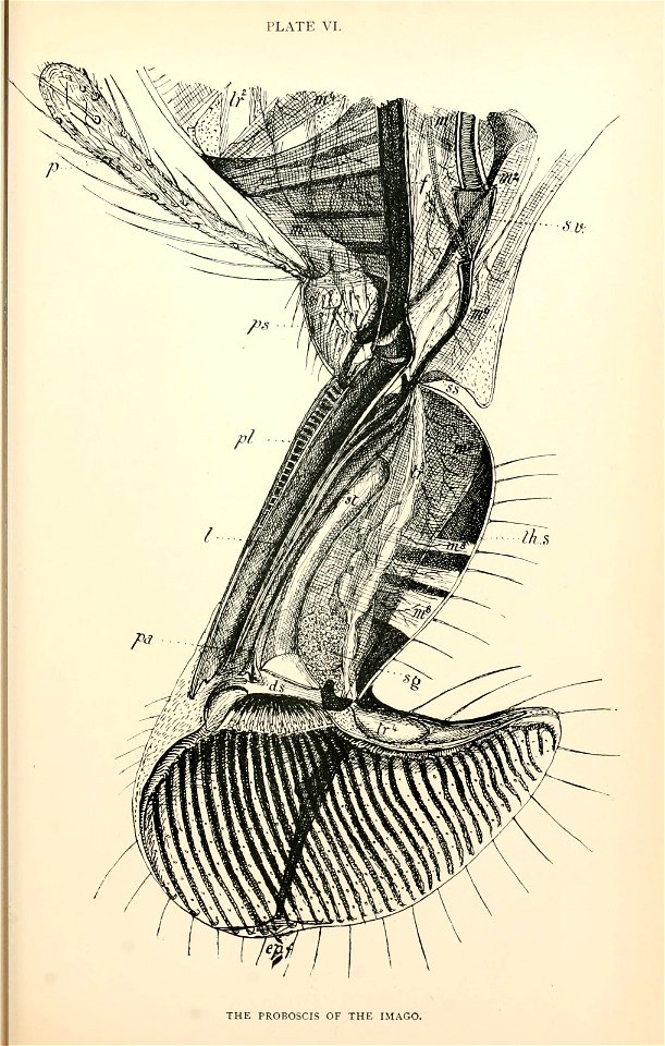 n154_w1150