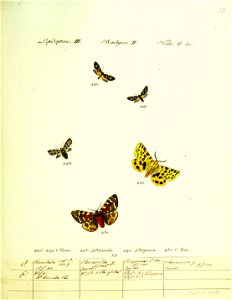 n188_w1150