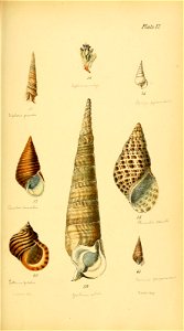 n216_w1150