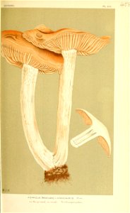 n24_w1150