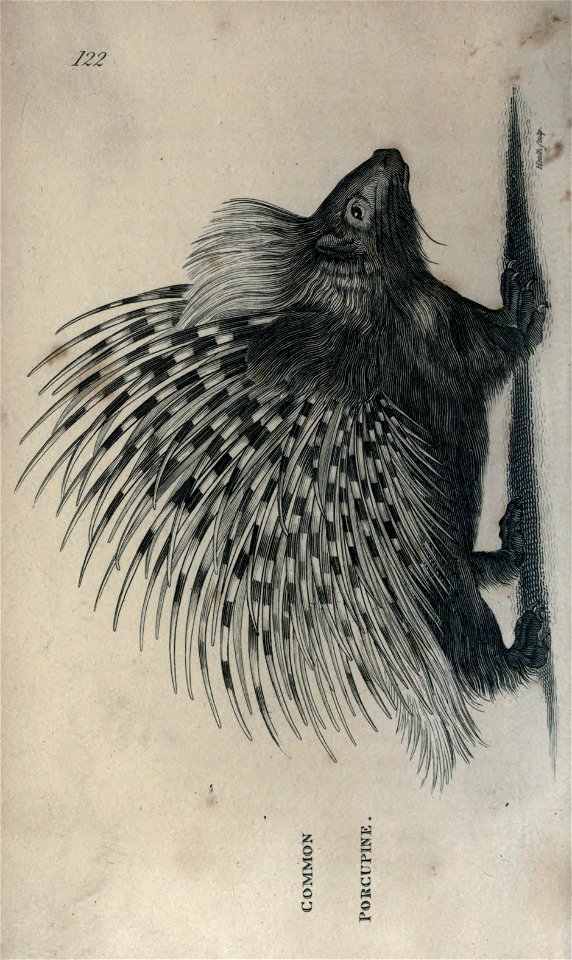 n17_w1150