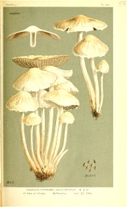 n536_w1150