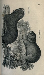 n162_w1150